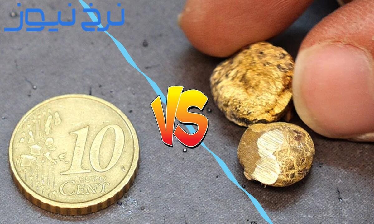  سکه بخرم یا طلای آب شده