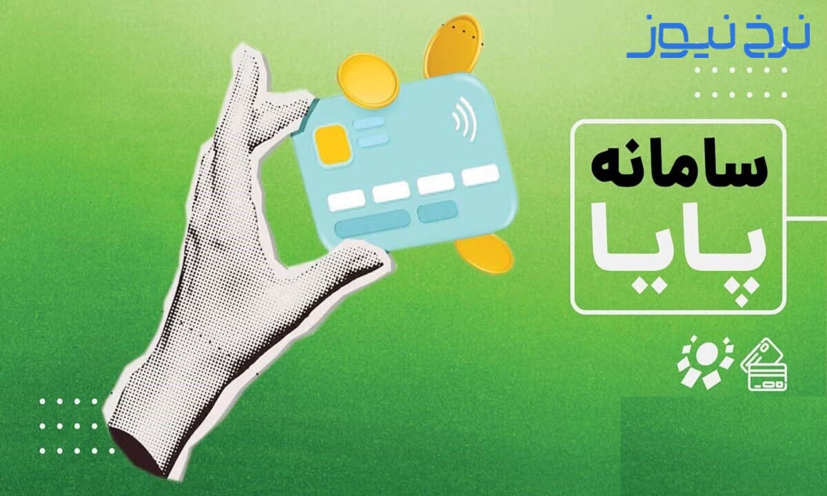 بررسی زمان انتقال پول در پایا