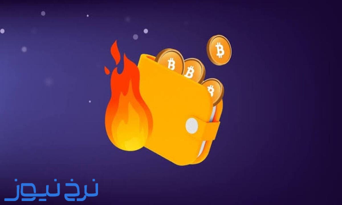 معرفی کیف پول گرم 