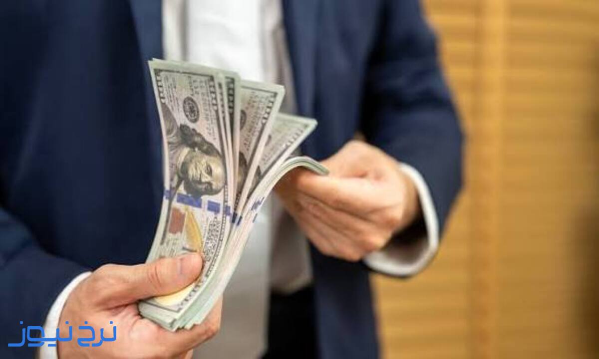پول نقد یا سرمایه گذاری؟